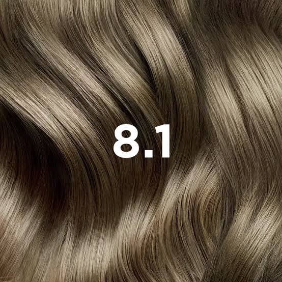 PHYTO COLOR 8.1 BLOND CLAIR CENDRÉ – Image 2